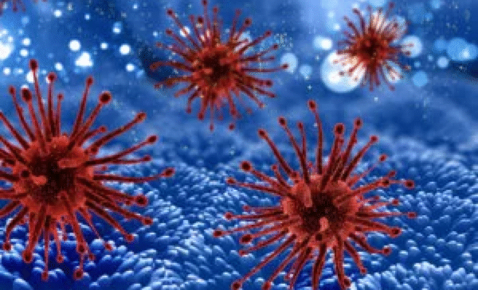 Virus