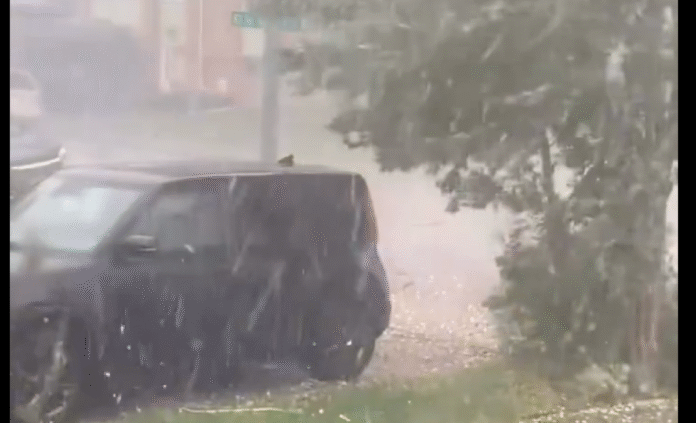 Calgary Storm