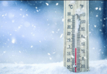 Strong winds and unseasonably warm temperatures expected across Southern Alberta