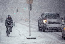Fresh snowfall triggers city-wide plowing and transit detours in Calgary