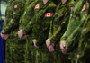Canadian Forces intelligence member charged in foreign interference investigation