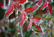 Polar air grips Canada as deep cold persists, warmer weather on the way