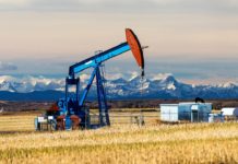 Deloitte forecast sees weak oil prices persist as natural gas prices rise