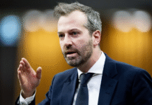 Federal job cuts roll out as procurement roles expected to see limited impact