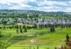 Calgary housing market expected to stabilize in 2026 after broad slowdown in sales