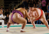 Calgary to host Canada’s first Sumo wrestling festival this March
