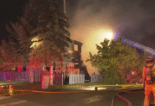 Police seek public’s help to locate vehicle linked to Tesla arson in Calgary