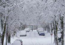 Weather warnings issued as multiple storm systems bring snow across Western Canada
